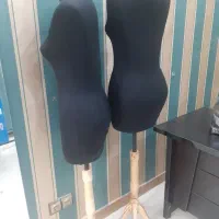 دو عدد مانکن