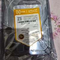 هارد ۴ ترابایت وسترن بنفش