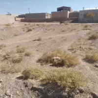 زمین فروشی|فروش زمین و ملک کلنگی|گلزار, |دیوار