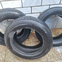 لاستیک ساینا