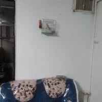 سهره  جوجه قفس|پرنده|کرمانشاه, |دیوار