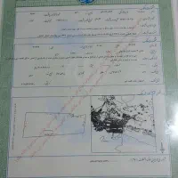 زمین-باغی-با-سند-تک-برگ-باغی-بهارستان