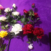 گل رز خارجی کیفیت عالی قابل شستشو