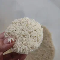 برنج اصل هاشمی بوجاری شده|خوردنی و آشامیدنی|نکا, |دیوار