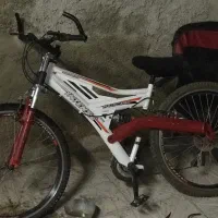 دوچرخه اینتنز