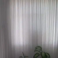 پرده|پرده، رانر، رومیزی|دورود, |دیوار