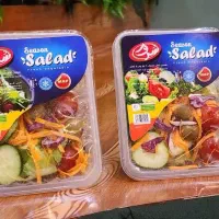 اعطای نمایندگی سالاد