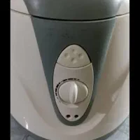 سرخ کن مارک AEEG