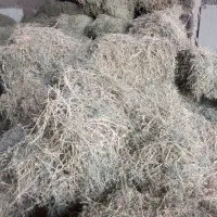 یونجه|لوازم جانبی حیوانات|مشهد, مهدی آباد|دیوار