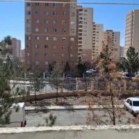 فروش و خرید کیسون