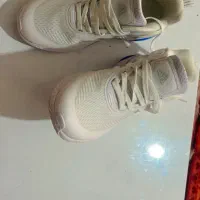 کفش نو اصلی