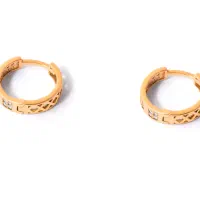 گوشواره گم شده