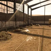 کاشی و سرامیک نما