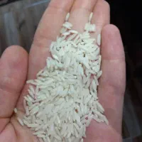 برنج هاشمی