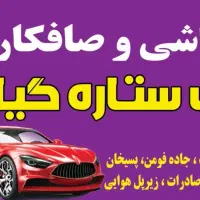 همکار کارواش و نقاشی