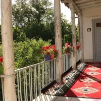 همخانه ای خانم