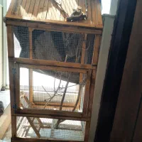 قفس چوبی معاوضه