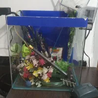 اکواریوم