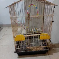 قفس کاسکویی
