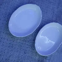 مرغ خوری یه جفت