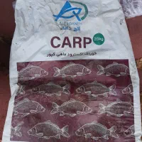 خوراک ماهی کپور