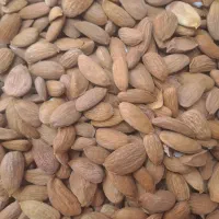 بادام تلخ