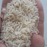 برنج طارم فجر. خوشپخت. هاشمی|عمده‌فروشی|نسیم‌شهر, |دیوار