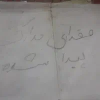 مقداری مدارک پیدا کردم