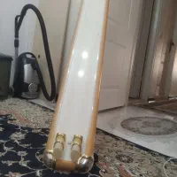 قاب مهتابی سالم