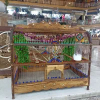 انواع سهره قناری و قفس سلطنتی پرنده های خاص|پرنده|مشهد, عنصری|دیوار