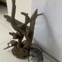 اکواریوم ریملس|ماهی|نسیم‌شهر, |دیوار