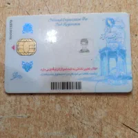 کارت پیدا شده