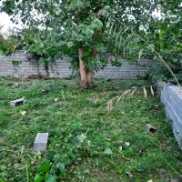 علف زنی|خدمات باغبانی و درختکاری|کومله, |دیوار