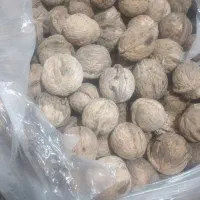 گردوی تازه اورگانیک با طعمی بسیار لذیذ|خوردنی و آشامیدنی|تهران, راه آهن|دیوار