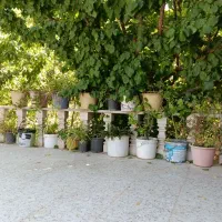 اجاره ویلا مبله دهبکری|اجارهٔ خانه و ویلا|دهبکری, |دیوار