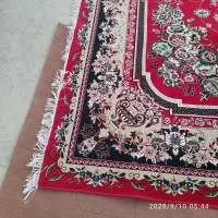 قالی 12متری