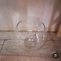 تنگ و عدسی|ماهی|قم, صفائیه|دیوار