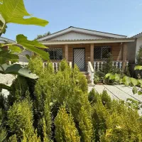 فروش فوری زیرقیمت ویلا جنگلی بدون مشرف/سنددار