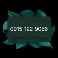 0915122-9056کد1