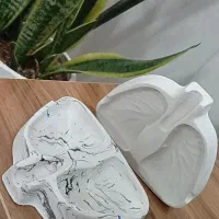 جا سیگاری طرح ریه
