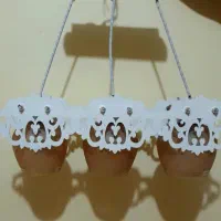 لوستر خطی در حد نو