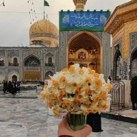 تور  مشهد مقدس-/