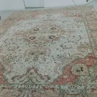 ۱۲ متری کرم|فرش|ساری, |دیوار