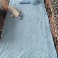 ممنون از تون|کفش و لباس بچه|شاهینشهر, گرگاب|دیوار