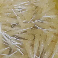 نبات چوبی زرد|خوردنی و آشامیدنی|اصفهان, پوریای ولی|دیوار