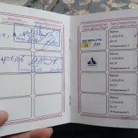 سگ ژرمن ورکلاین|سگ|قزوین, |دیوار