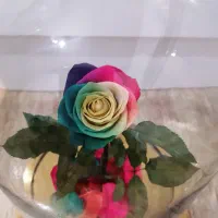 گل مصنوعی بسیار شیک و زیبا نوی نو،|گل مصنوعی|چهارباغ, |دیوار