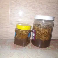 عسل کوهی|خوردنی و آشامیدنی|دهلران, |دیوار