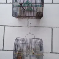 قفس سهره مهره باف جنس خوب