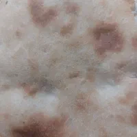 شاطر